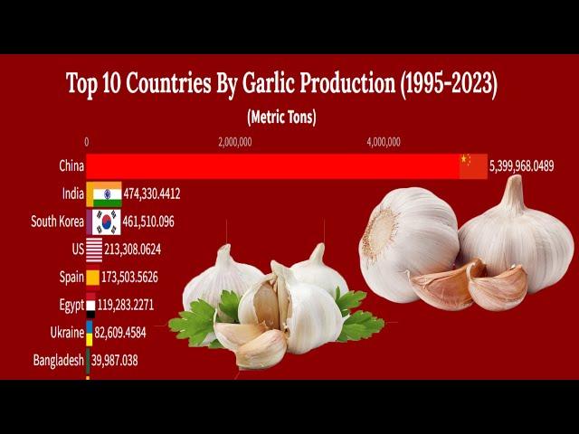 Top 10 Countries By Garlic Production (1995 - 2023)|Smart Ranking Charts |