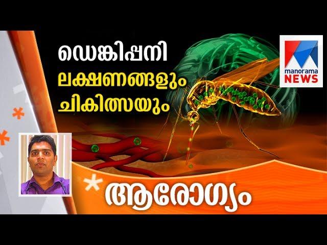 Dengue fever symptoms and treatment | Manorama News