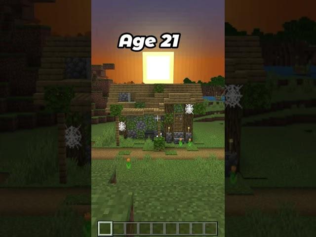 Watch this Minecraft village Hut Grow Old #shorts