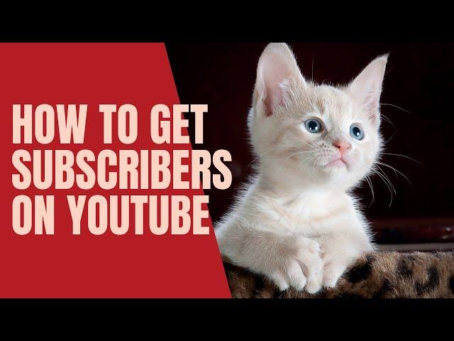 How To Get YouTube Subscribers in 2021 | Hacking The Algorithm?