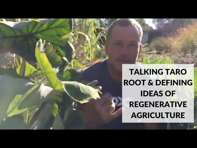 Talking Taro Root & Defining Ideas of Regenerative Agriculture