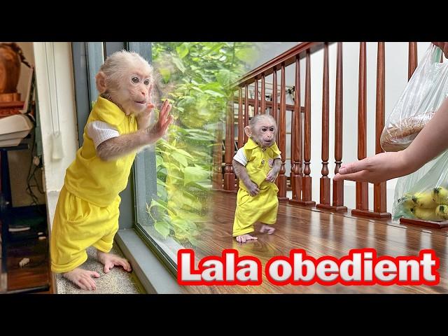 lala obediently woke up brushed her teeth and waited for Thuy to come home from the market!