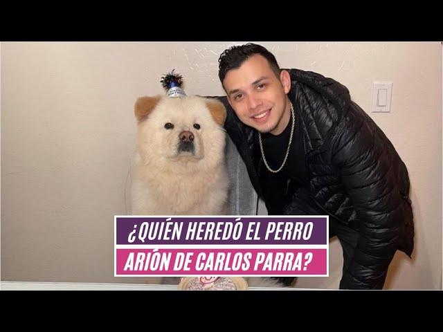 ¿Quién heredó el perro Arión de Carlos Parra?