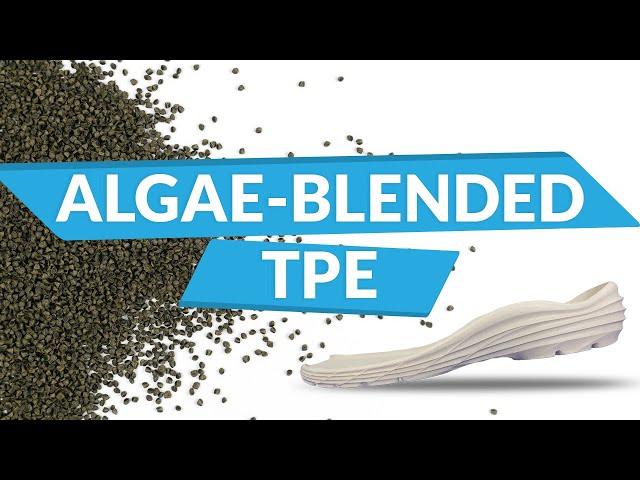 Sustainable Performance Enhancer for Shoes - Algae Blended TPE | The BLOOM Room