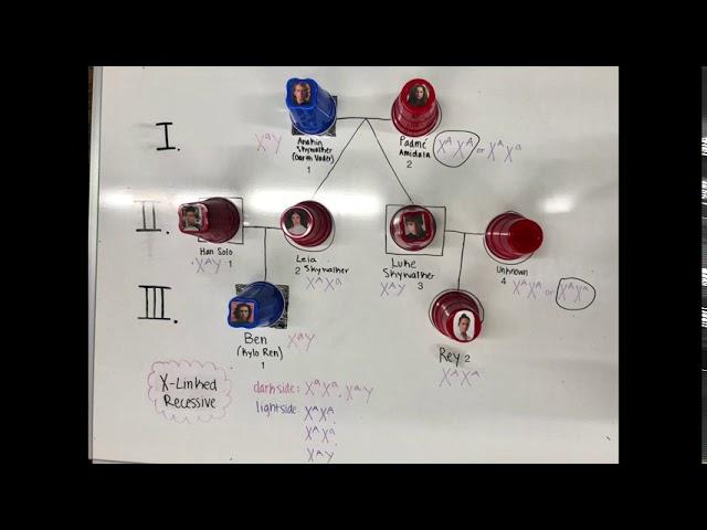GN311 Mini Exam 1 Video