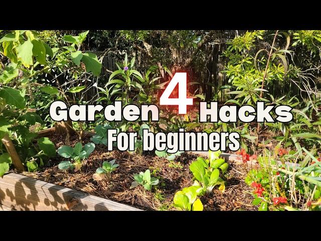 Beginner Gardening Tips You Need to Know | Simple Tricks for a Thriving Garden | Black Fit Gardeners