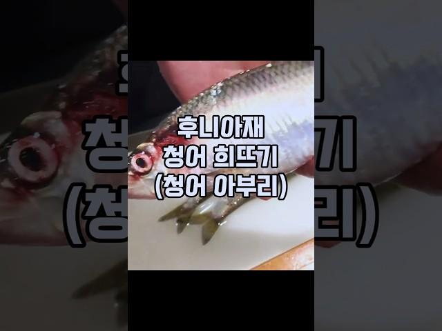 #청어 #요리 #손질 #cooking #일본요리 #sashimi