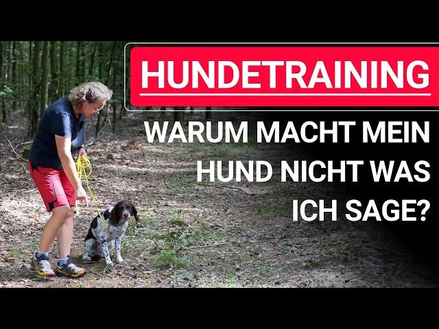  Hundetraining ️ Warum macht mein Hund nicht was ich sage? ️ Praxisvideo ️