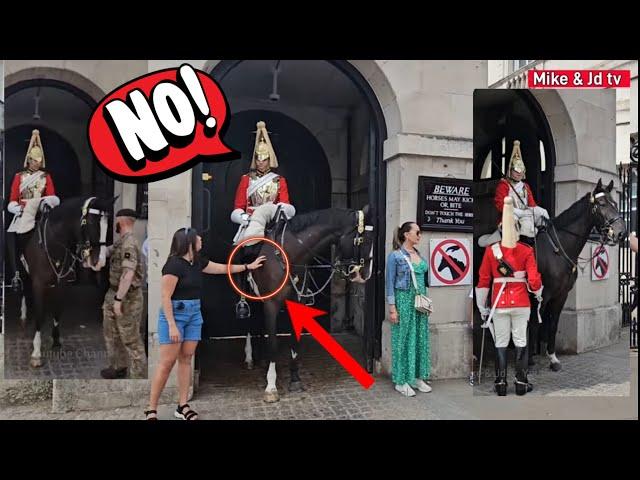 GUARD REACTS AT THIS SILLY TOURIST TOUCHES THE KING’S HORSE, ROYAL GUARD, KINGS GUARD