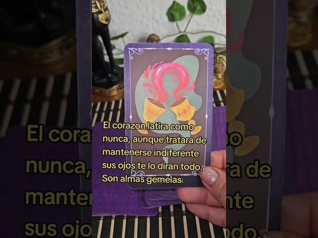 Que Sentira cuando vuelva a verte? #tarot #tarotamor #tarotdoamor #tarotreader