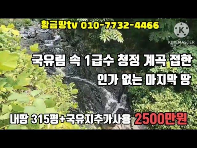 울진 국유림속 1급수 계곡 접한 인가없는 마지막 토지