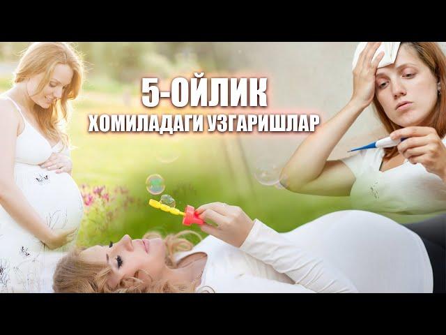 5-Oylik homiladagi uzgarishlar ---  5-Ойлик хомиладаги узгаришлар  (2019)