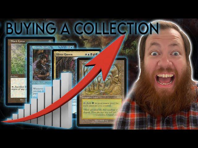 Buying a reserve list collection | Magic: The Gathering