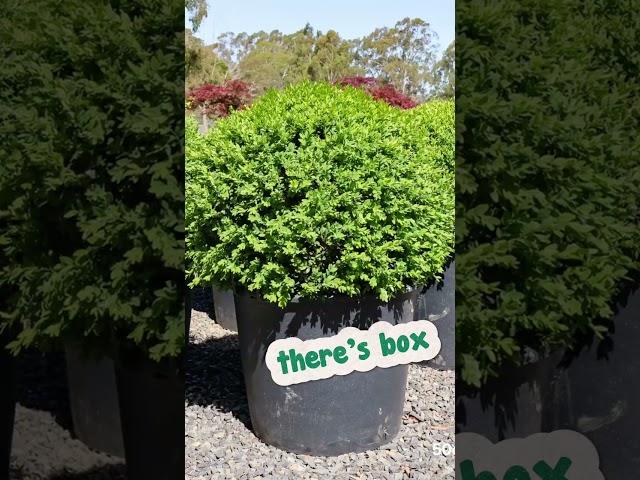 Do Your Garden on a Budget With Our Most Affordable Sale.