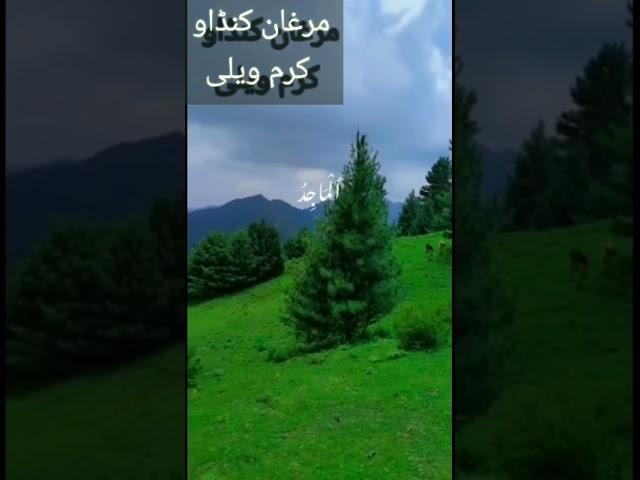 #shorts #youtubeshorts Beauty of Nature|Kurram Valley|Marghan Kandaw