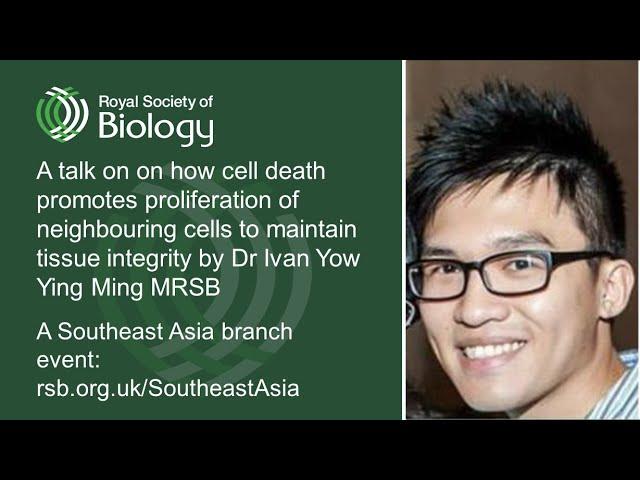 How does cell death promote resilient tissue? | Royal Society of Biology Southeast Asia branch