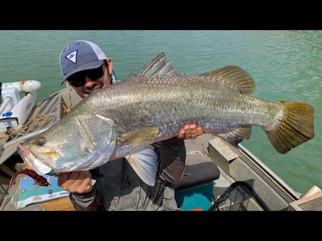 BIG BARRAMUNDI Fishing in Cape York Australia