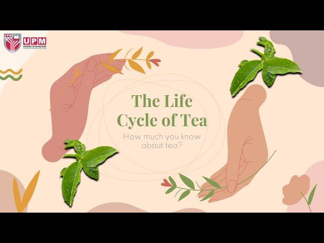 Life cycle assessment (LCA) of tea