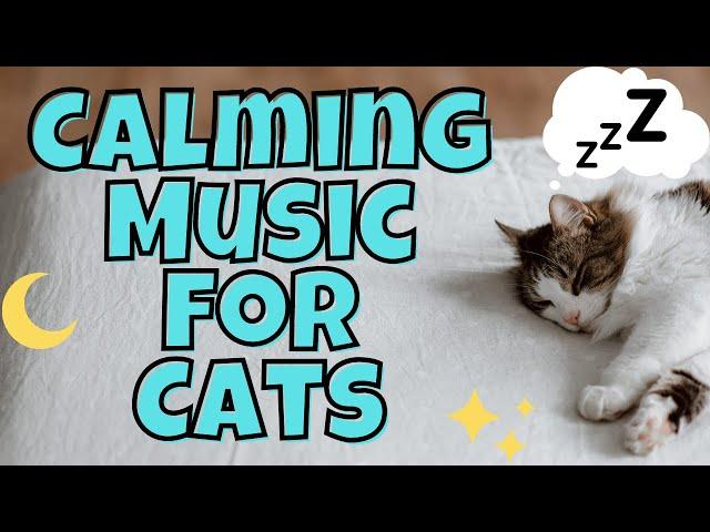 Calming Music For Cats - 1 Hour of Relaxing Cat Music - Cat Lullaby & Therapy Music