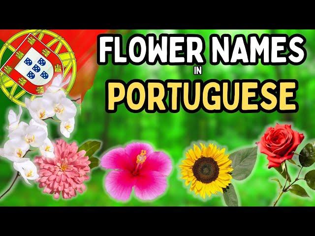 Names of Flowers in Portuguese  | Useful Phrases