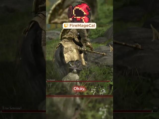 Everything's fine  First Wild Encounter, Elden Ring