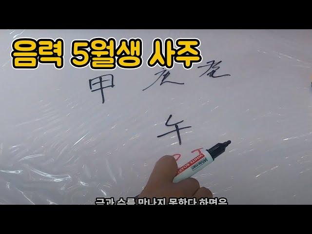 午월 귀격사주 (음력 5월생 사주에 이글자 있으면 부귀하다)