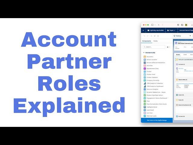 Salesforce Account Partner Roles Explained