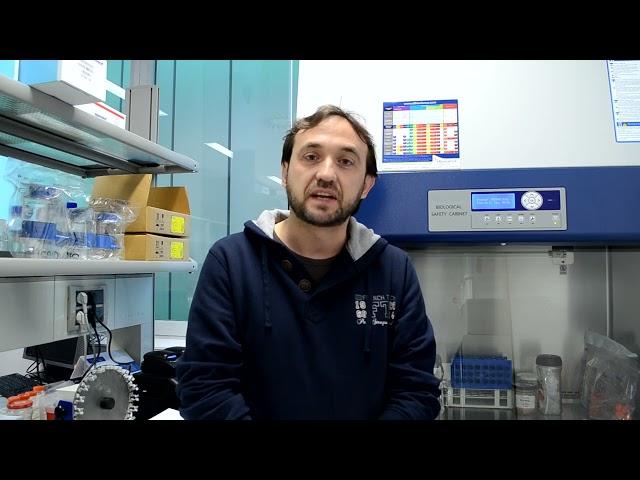 Julián Pardo Review on BEOnChip Microfluidic Cell Culture Chips