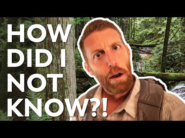 Top 5 Backpacking Tips I Wish Someone Would Have Told Me