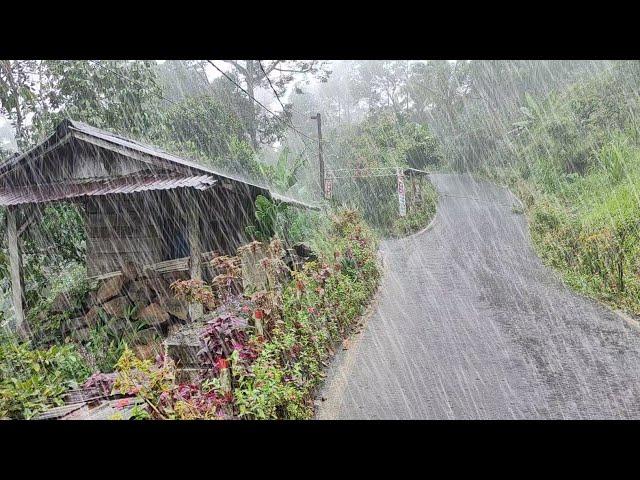 Extreme heavy rain in hilly villages for 3 hours, walking in the super heavy extreme rain, for sleep