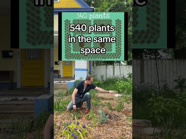 Maximize garden productivity with keyhole gardens #permaculture #easygarden #garden