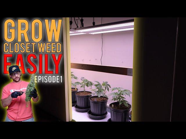 GROWING WEED IN A CLOSET (PHOTOPERIODS) GUIDE TO SIMPLE GARDENING. EP1