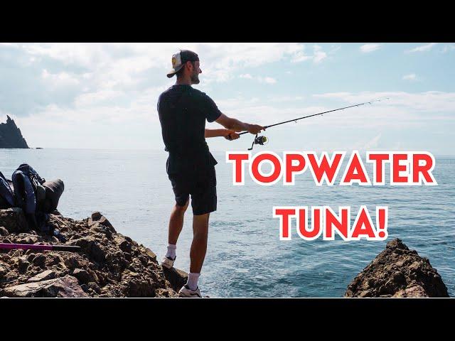 TOPWATER TUNA FISHING OFF THE ROCKS!  