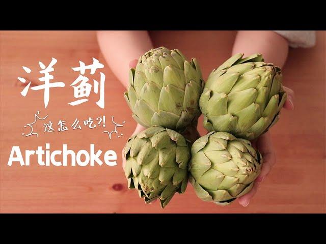 这个东西到底应该怎么吃？！「洋蓟 Artichoke」竟然藏着意想不到的……美味！