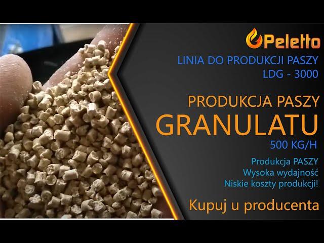 Produkcja paszy granulowanej, granulatu / Linia do produkcji pasz granulowanych LDG-3000