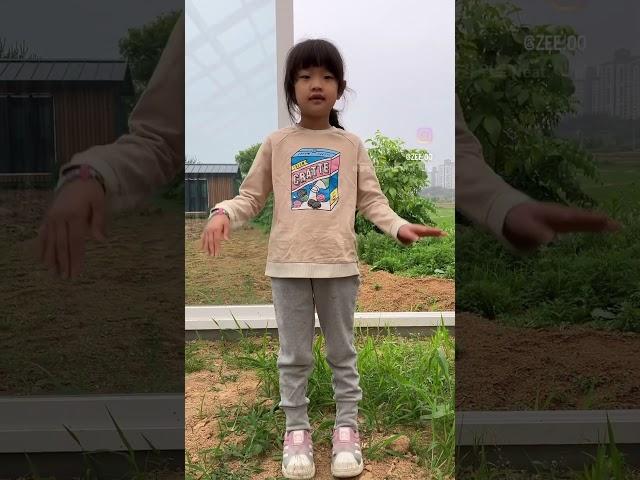 #꽁꽁얼어붙은한강위로고양이가걸어다닙니다