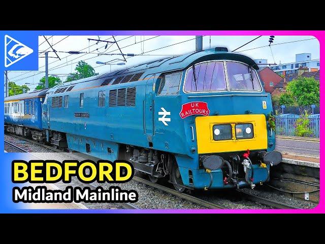 Trains at Bedford (MML) 06/07/2024