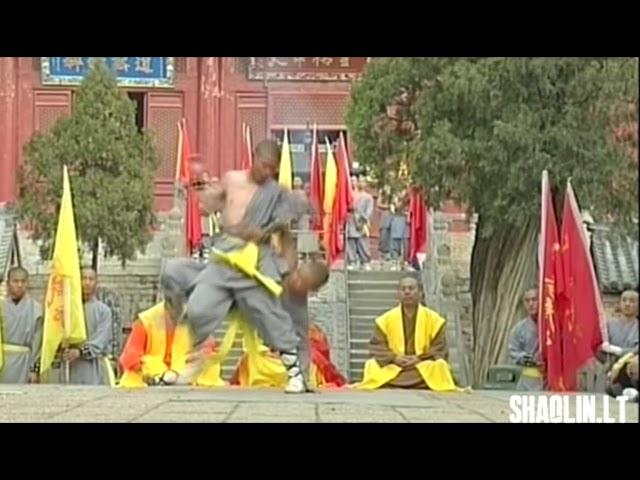 Shaolin free fighting Sanshou