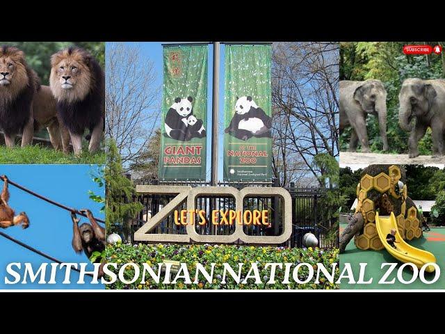 Let's explore the Smithsonian National Zoo, Washington DC | Smithsonian National Zoological Park