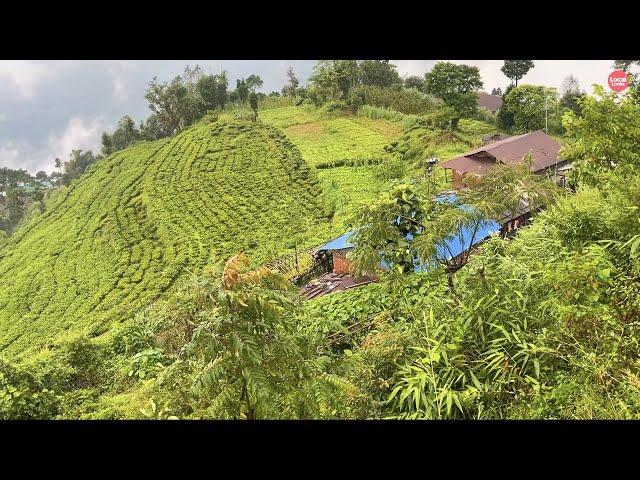 Wonderfully Beautiful Mountain Sight- Heart Warming Nature