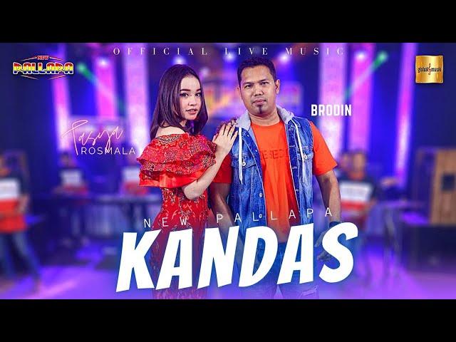 Tasya Rosmala ft Brodin New Pallapa - Kandas (Official Live Music)