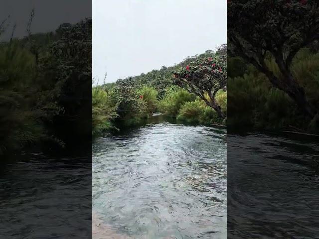 Most beautiful nature #shorts #short #nature #travel #waterfall