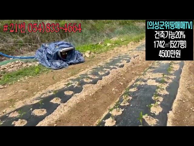 #21번 의성군위땅매매TV-건축20%가능한땅!주말농장강추#의성부동산#군위부동산#가음땅#춘산땅#귀농귀촌#주말농장#싼땅#농가주택#임야#자연인#묘터