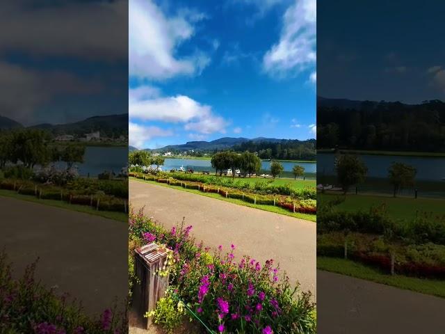 G R E G O R Y park - Nuwara Eliya Sri Lanka ️