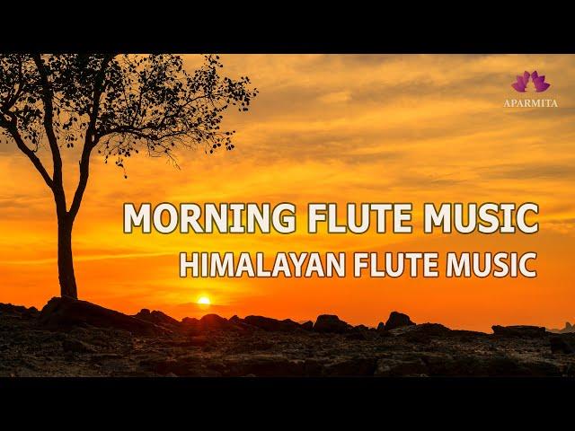 Morning Flute Music | Himalayan Flute Music | Meditation Music | (बाँसुरी) Aparmita Ep. 169