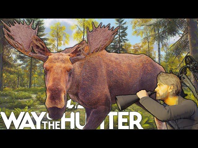 Five Star Eurasian Moose Bow Hunt | Way of the Hunter