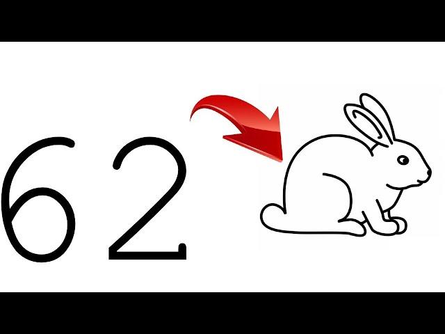 How to Draw a bunny Using Numbers? 62