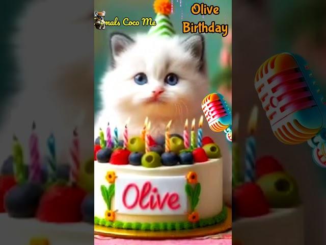 OLIVE HAPPY BIRTHDAY | HAPPY BIRTHDAY SONG WITH NAMES | Adorable Cute Cat   #happybirthday #cute