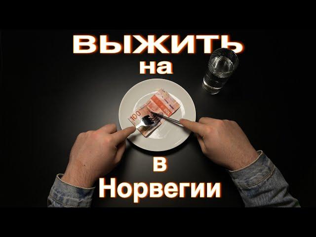 Как выжить на 100 крон в Норвегии?/Украинец в Норвегии