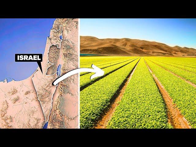 How Israel Is Transforming a Desert into Farmland